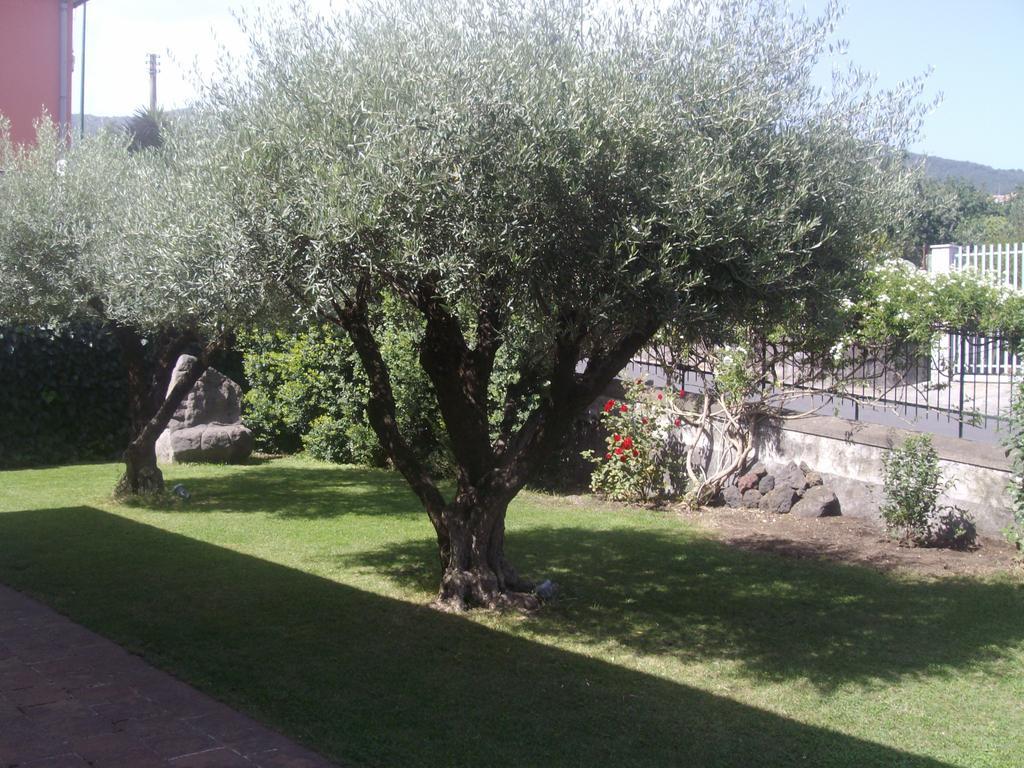 Scatitti House Zafferana Etnea Quarto foto